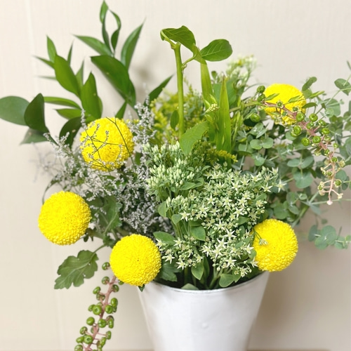 리틀캠든 퐁퐁국화 한다발 이미지 4