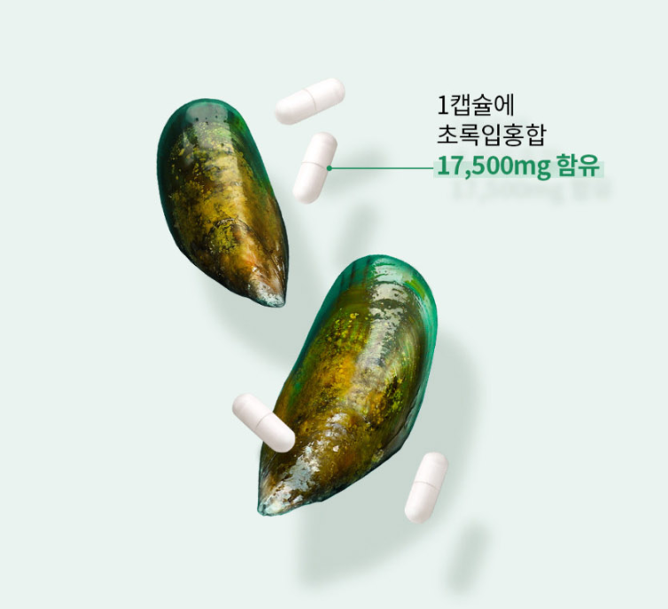 뉴질랜드 초록잎홍합 오일 초록홍합 초록입 GREENLIPPED MUSSEL 30캡슐 - 상세 이미지 3