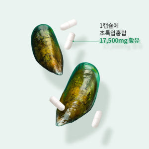 뉴질랜드 초록잎홍합 오일 초록홍합 초록입 GREENLIPPED MUSSE... 맛있게 먹은 솔직 후기 - 상품 이미지 3