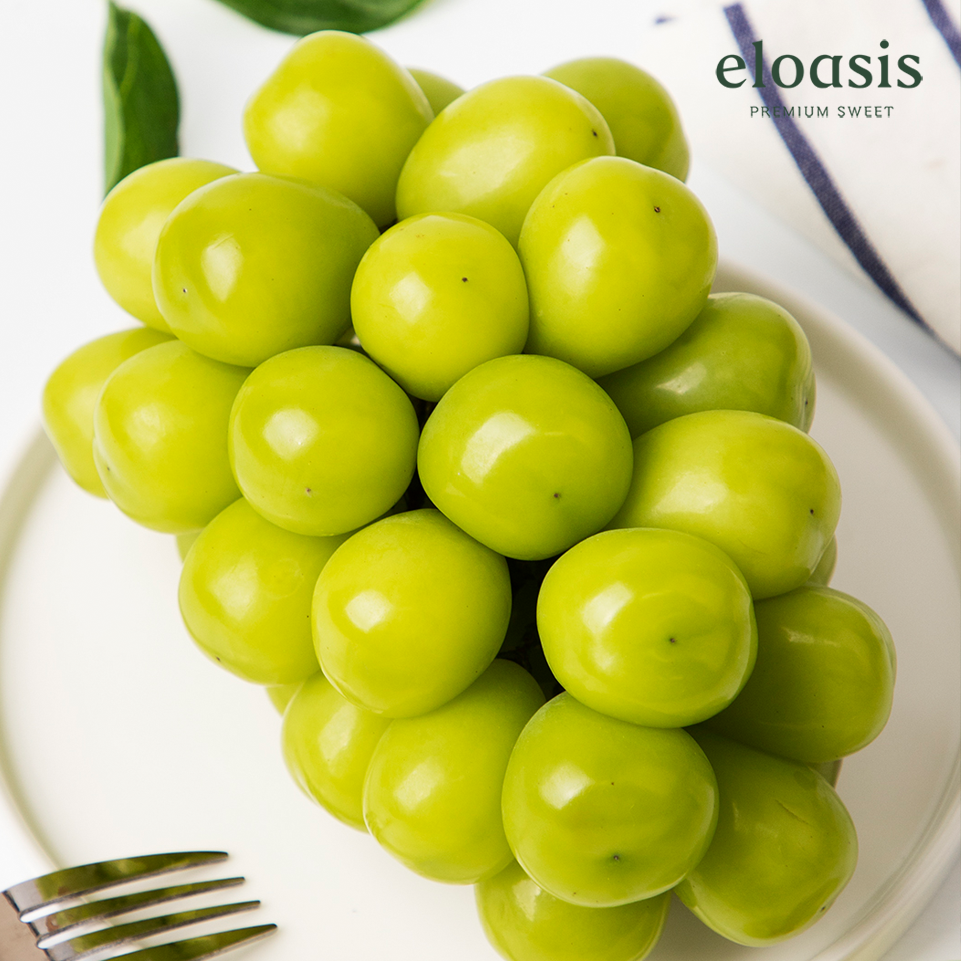 수출용 샤인머스켓 프리미엄 김천 GAP 샤인머스캣 특등품 상세 이미지 5