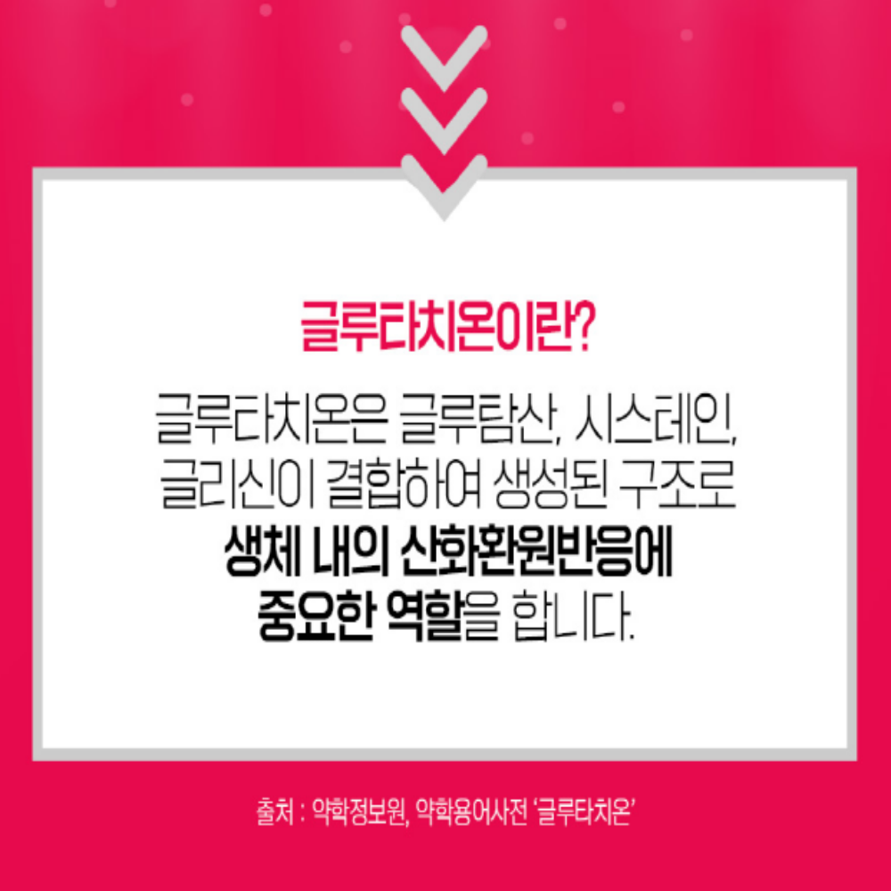 글루타치온 알약 세라마이드 피쉬콜라겐 먹는엘라스틴 2개월분 - 상세 이미지 5