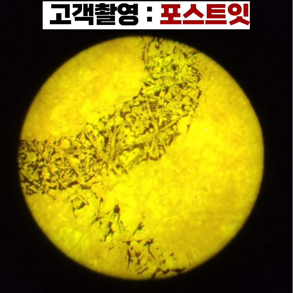 현미경 생물현미경 MICROSCOPE 학교에서 사가는 250배율 광학현미경 - 상세 이미지 4