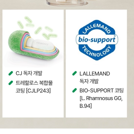 어른 엄마 수험생 초등 중학생 유산균 고등 학생 알약 유산균 - 상세 이미지 4