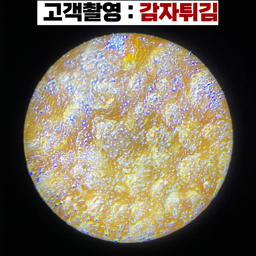 현미경 생물현미경 MICROSCOPE 학교에서 사가는 250배율 광학현미경 이미지 6