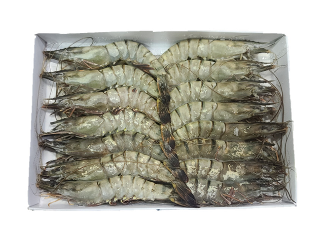 블랙타이거 새우 500G 30, 20, 15, 10미 새우소금구이 냉동새우 킹타이거 - 상세 이미지 2