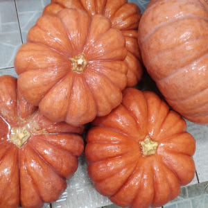 운동선수 산모 기력회복 원기회복 가물치즙 진액 액기스 120포, 1개 맛있게 먹은 솔직 후기 - 상품 이미지 4