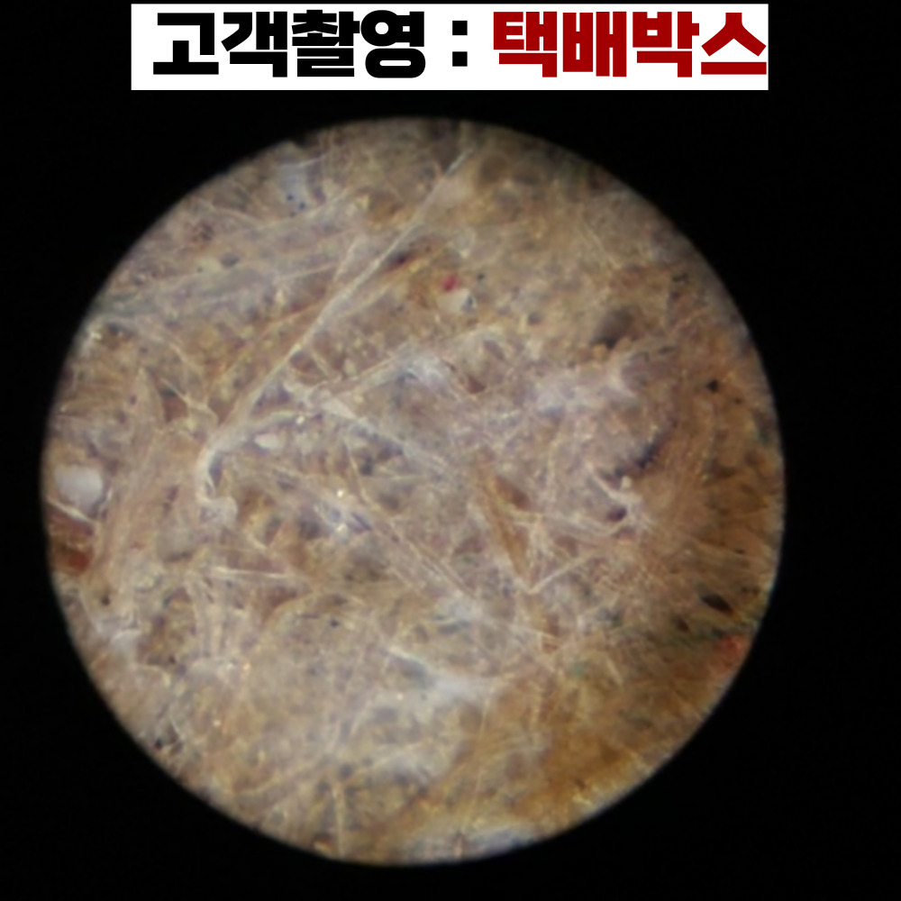 현미경 생물현미경 MICROSCOPE 학교에서 사가는 250배율 광학현미경 - 상세 이미지 5