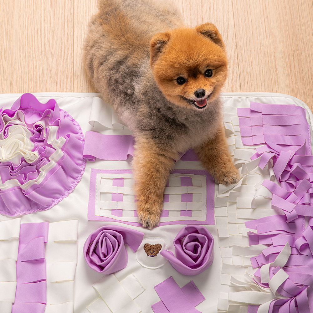 펫트리움 쇽쇽 강아지 노즈워크 매트 L (95 x 70cm) 분리불안 훈련