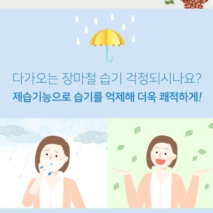 제습 공기청정기 제습기 사무실용 사무실 제습기 원룸용 자취방 제습기 이미지 6
