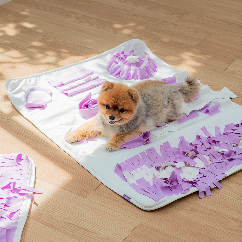 펫트리움 쇽쇽 강아지 노즈워크 매트 L (95 x 70cm) 분리불안 훈련