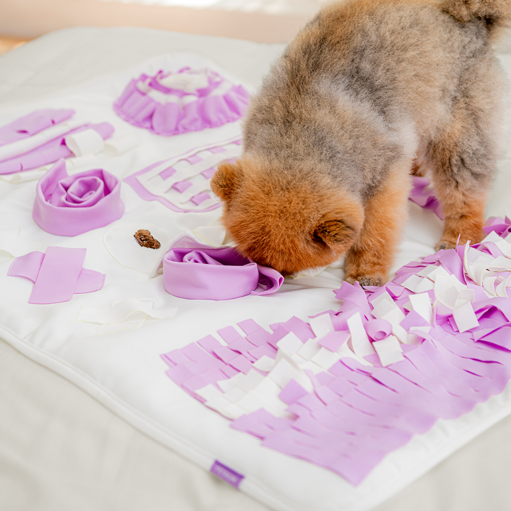 펫트리움 쇽쇽 강아지 노즈워크 매트 L (95 x 70cm) 분리불안 훈련