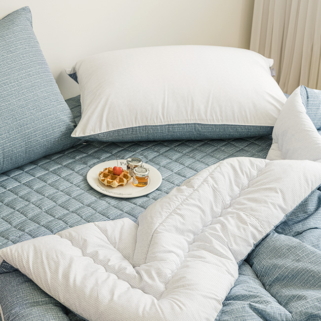 세사온라인 알러지케어 먼지없는 사계절 차렵이불패드 풀세트 루딘, Q(퀸)