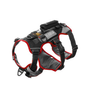 인터라켄 어스텍 슬림 3.0 하네스 아이리드줄 세트 XS 솔직 후기 | 실제 사용자 리뷰 총정리 - 상품 이미지 3