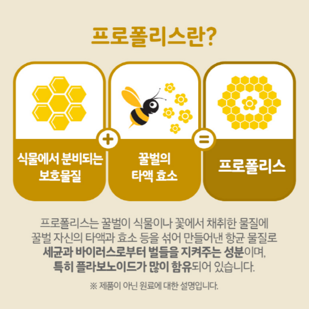 뿌리는 프로폴리스 어린이 스프레이 플라보노이드 - 상세 이미지 4
