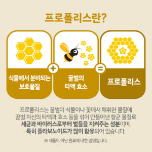 뿌리는 프로폴리스 어린이 스프레이 플라보노이드 맛있게 먹은 솔직 후기 - 상품 이미지 4