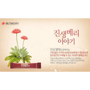 향긋한 인삼열매 진생베리차 50포 손님접대 부모님선물 맛있게 먹은 솔직 후기 - 상품 이미지 3