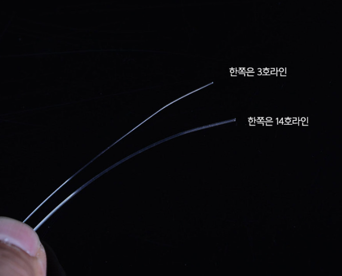 키우라 테이퍼라인 A타입 한치 갈치 쇼크리더 오모리 리그 K-812 텐빈 텐야 채비 - 상세 이미지 4