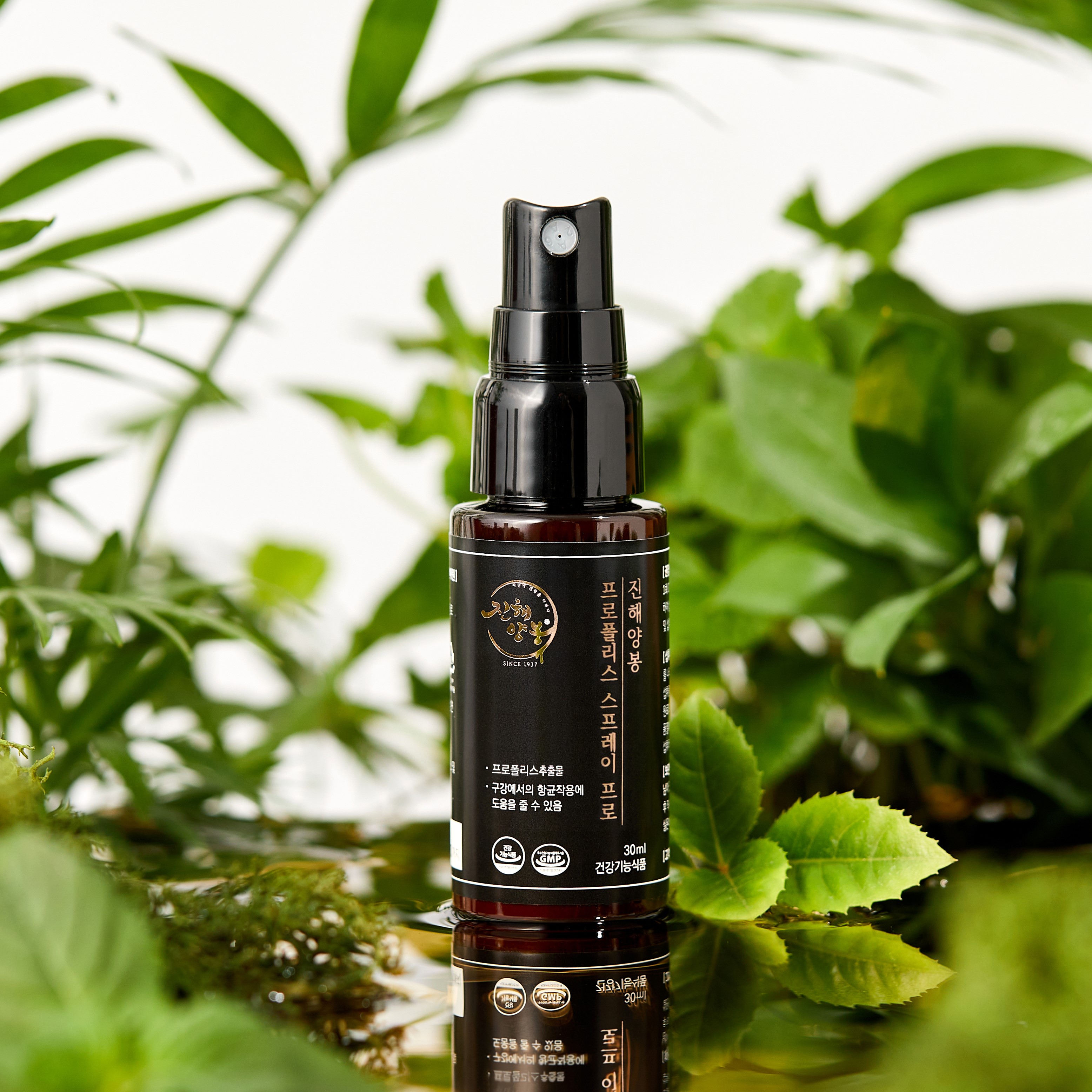 진해양봉 프로폴리스 스프레이 프로 30ml, 1개 - 상세 이미지 5