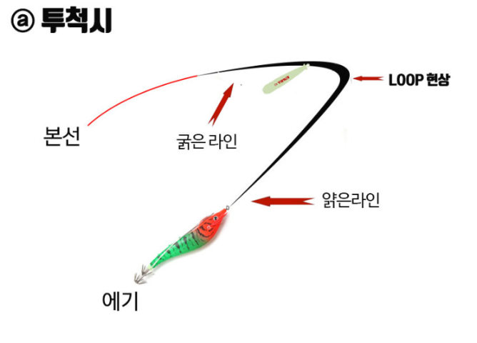 키우라 테이퍼라인 A타입 한치 갈치 쇼크리더 오모리 리그 K-812 텐빈 텐야 채비 - 상세 이미지 5