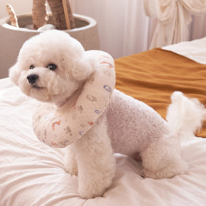 강아지 고양이 쿠션 넥카라 퍼피 애견 중형견 깔대기 목보호대 솔직 후기 | 실제 사용자 리뷰 총정리 - 상품 이미지 4