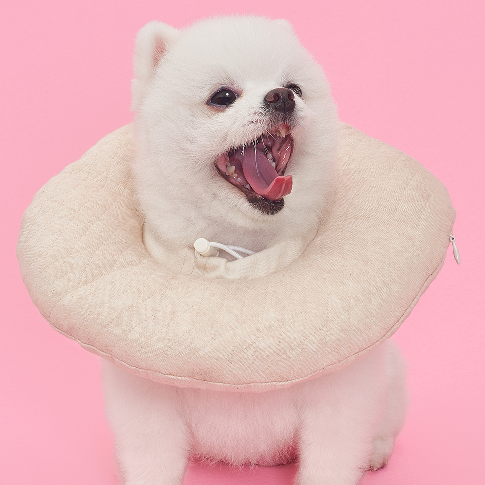 강아지 고양이 쿠션 넥카라 퍼피 애견 중형견 깔대기 목보호대 - 상세 이미지 5