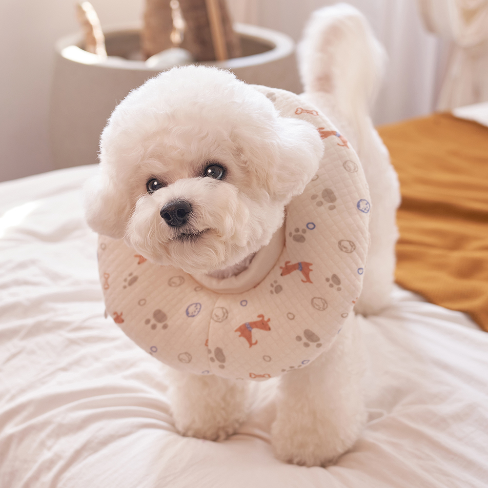 강아지 고양이 쿠션 넥카라 퍼피 애견 중형견 깔대기 목보호대 이미지 2