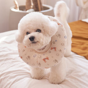 강아지 고양이 쿠션 넥카라 퍼피 애견 중형견 깔대기 목보호대 솔직 후기 | 실제 사용자 리뷰 총정리 - 상품 이미지 2