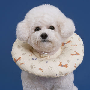 강아지 고양이 쿠션 넥카라 퍼피 애견 중형견 깔대기 목보호대 솔직 후기 | 실제 사용자 리뷰 총정리 - 상품 이미지 1