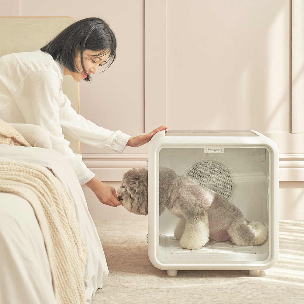 캐치웰 펫드라이룸 강아지 고양이 드라이기 반려동물 애견 털 건조기