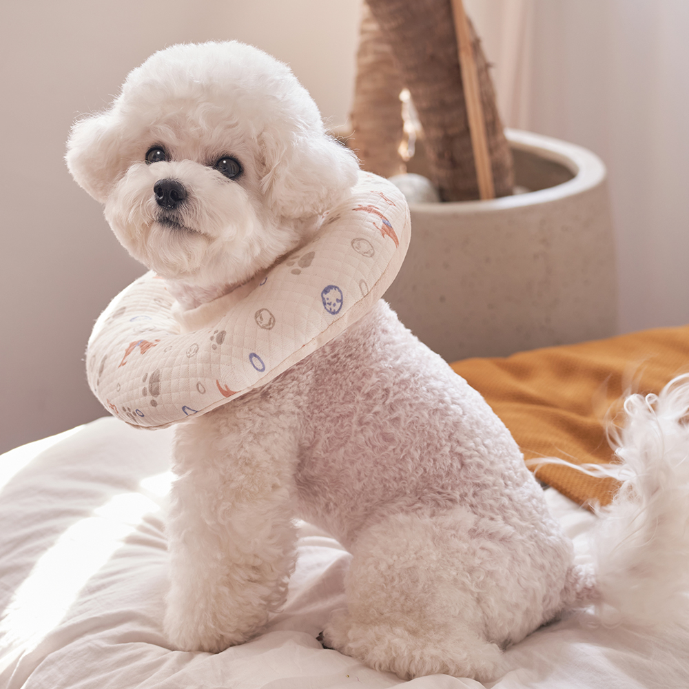 강아지 고양이 쿠션 넥카라 퍼피 애견 중형견 깔대기 목보호대 이미지 3