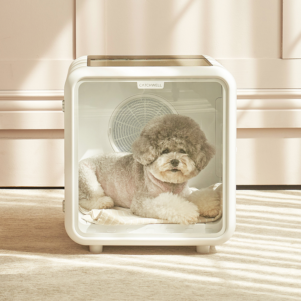 캐치웰 펫드라이룸 강아지 고양이 드라이기 반려동물 애견 털 건조기