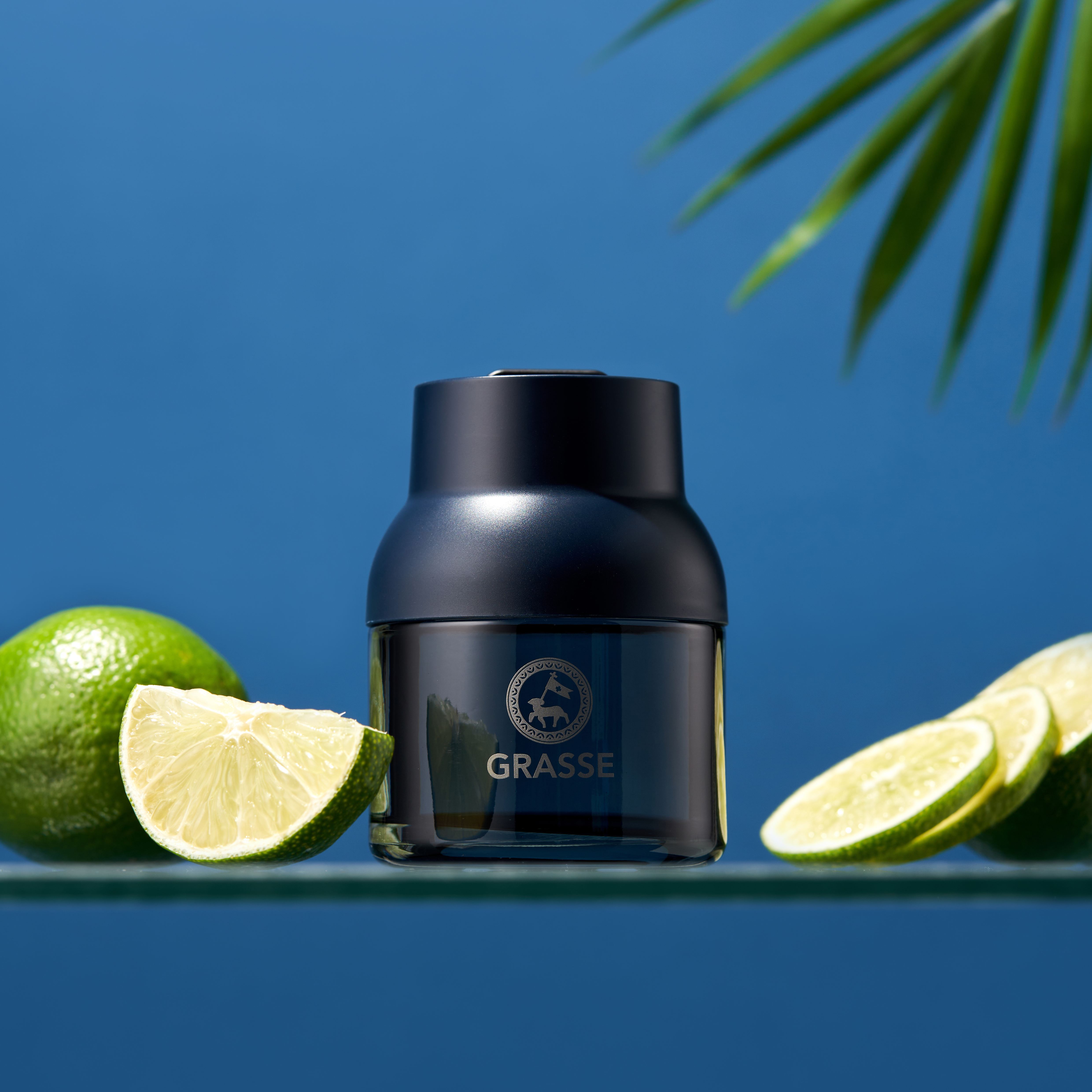 불스원 그라스 디퓨저 블루, 블랙베리 향, 차량용 방향제 추천, 1+1 이벤트, 은은한 향기, 지속력 좋은 방향제