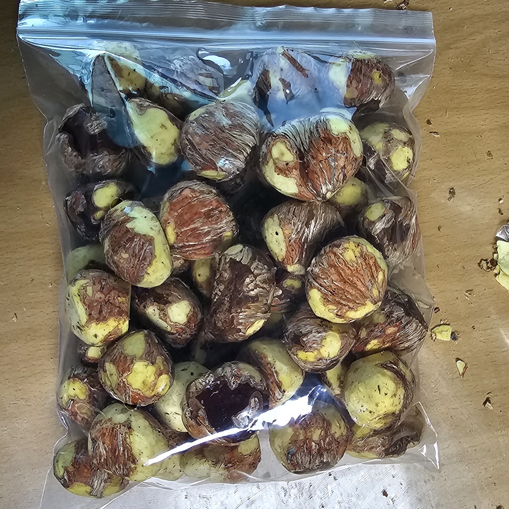 햇밤 유기농 부여밤 기계로깐 깐밤 700g (350g 2ea) - 상세 이미지 2