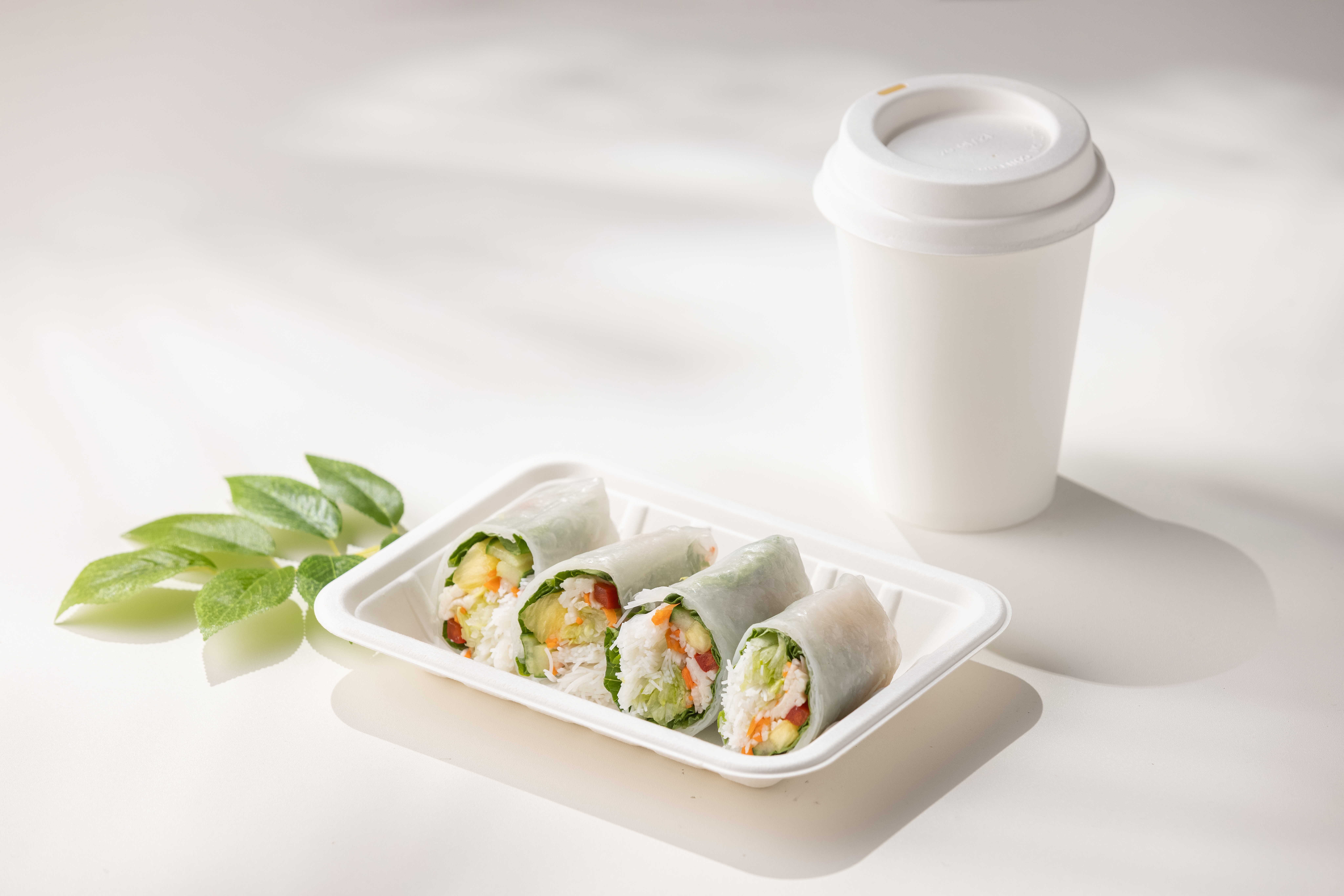 친환경 펄프용기 도시락 일회용품 샘플신청 - 상세 이미지 3