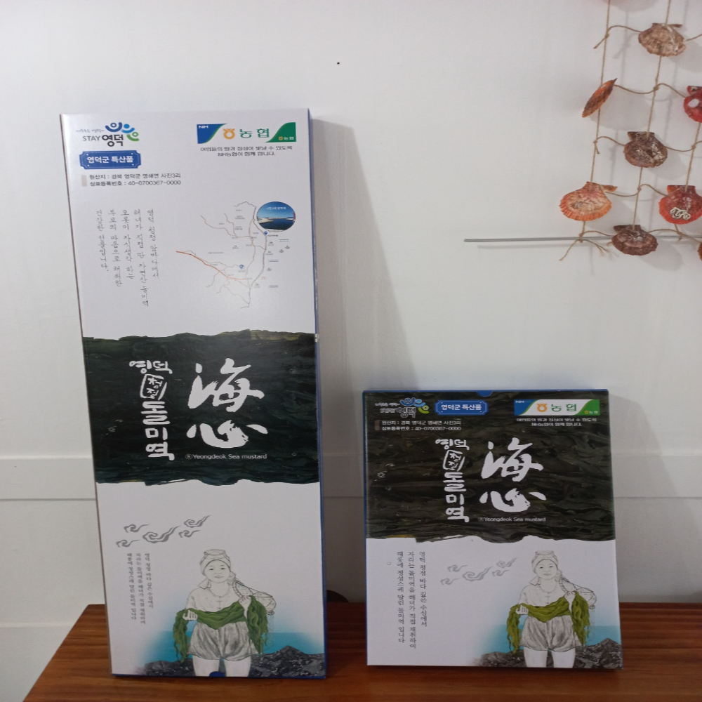 자연산 돌미역 산모미역 갯바위 해초 염장 선물세트 영덕특산물 250g - 상세 이미지 2