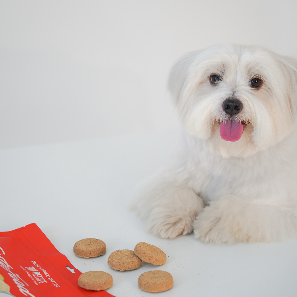 트러스티푸드 동결건조 사료 비프 33장 150g 소고기 LID 저지방 식단 생식 화식 큐브