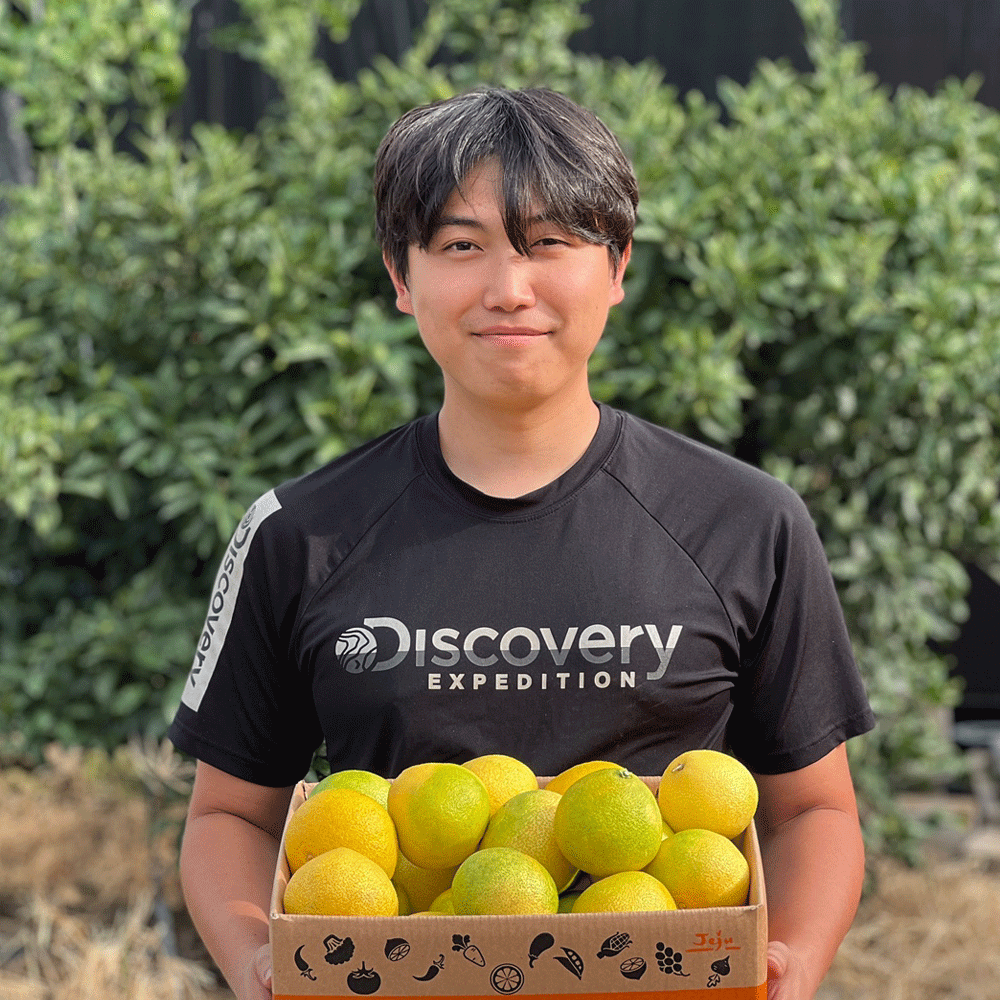 황금향 선물세트 3KG 제주황금향 선물용 3KG 5KG - 상세 이미지 2