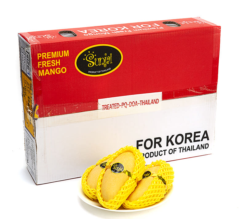 후숙 가이드
