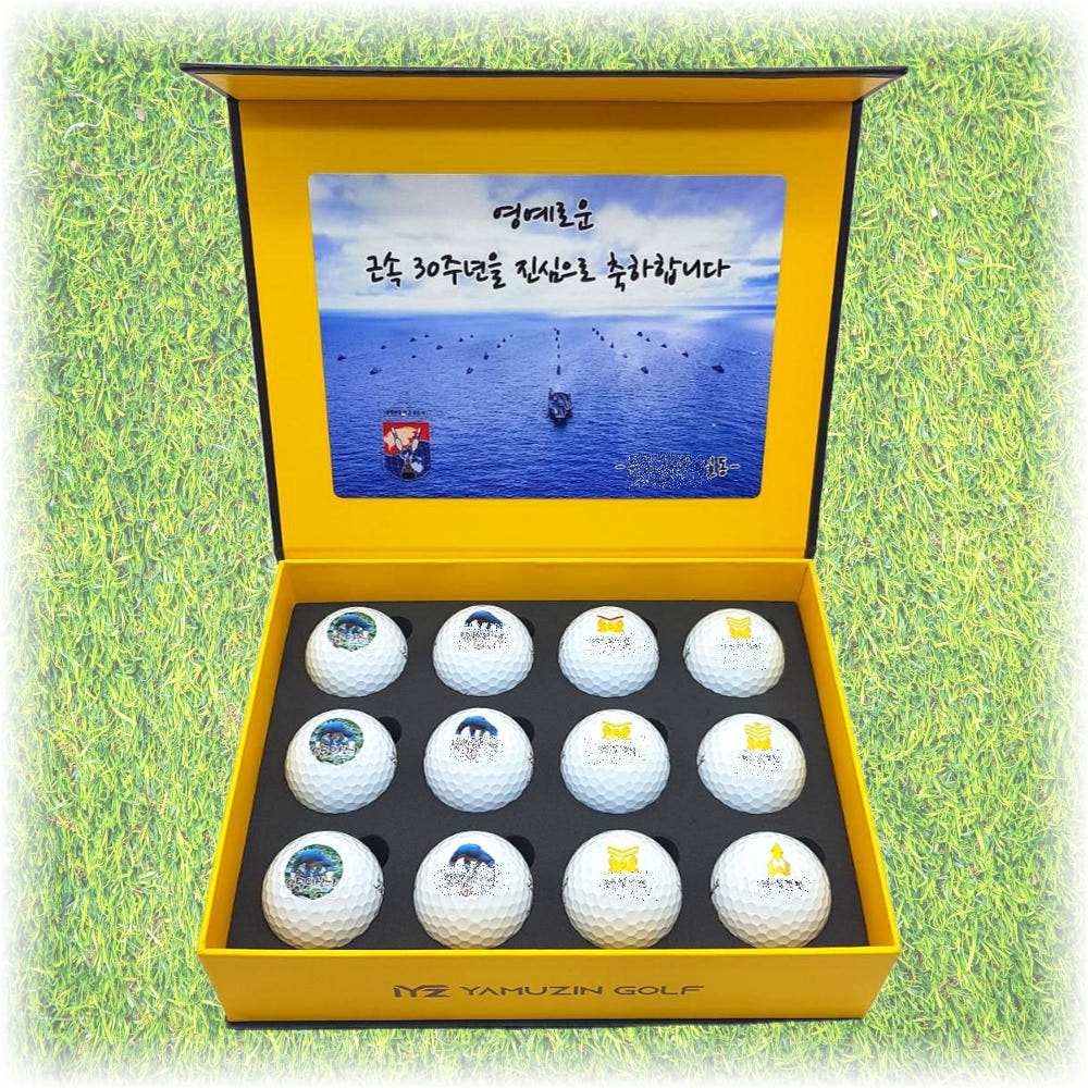 타이틀리스트 PRO V1 커스텀 골프공 12구 선물 세트 가격 비교 야무진골프 타이틀리스트 PRO V1 커스텀 골프공 12구 선물 세트