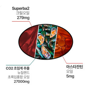 파마제닉스 뉴질랜드 초록홍합 오일 래피드조인트 27000 초록입홍합 12... 맛있게 먹은 솔직 후기 - 상품 이미지 4