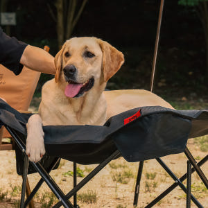 하웃 강아지 의자 해먹 캠핑 의자 메쉬 도그코트 솔직 후기 | 실제 사용자 리뷰 총정리 - 상품 이미지 1