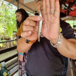 [괌] 정글 리버크루즈 괌 정글 투어 액티비티 원주민 체험 가족여행 패키... 솔직 후기 | 실사용자 리뷰 분석 - 상품 이미지 3