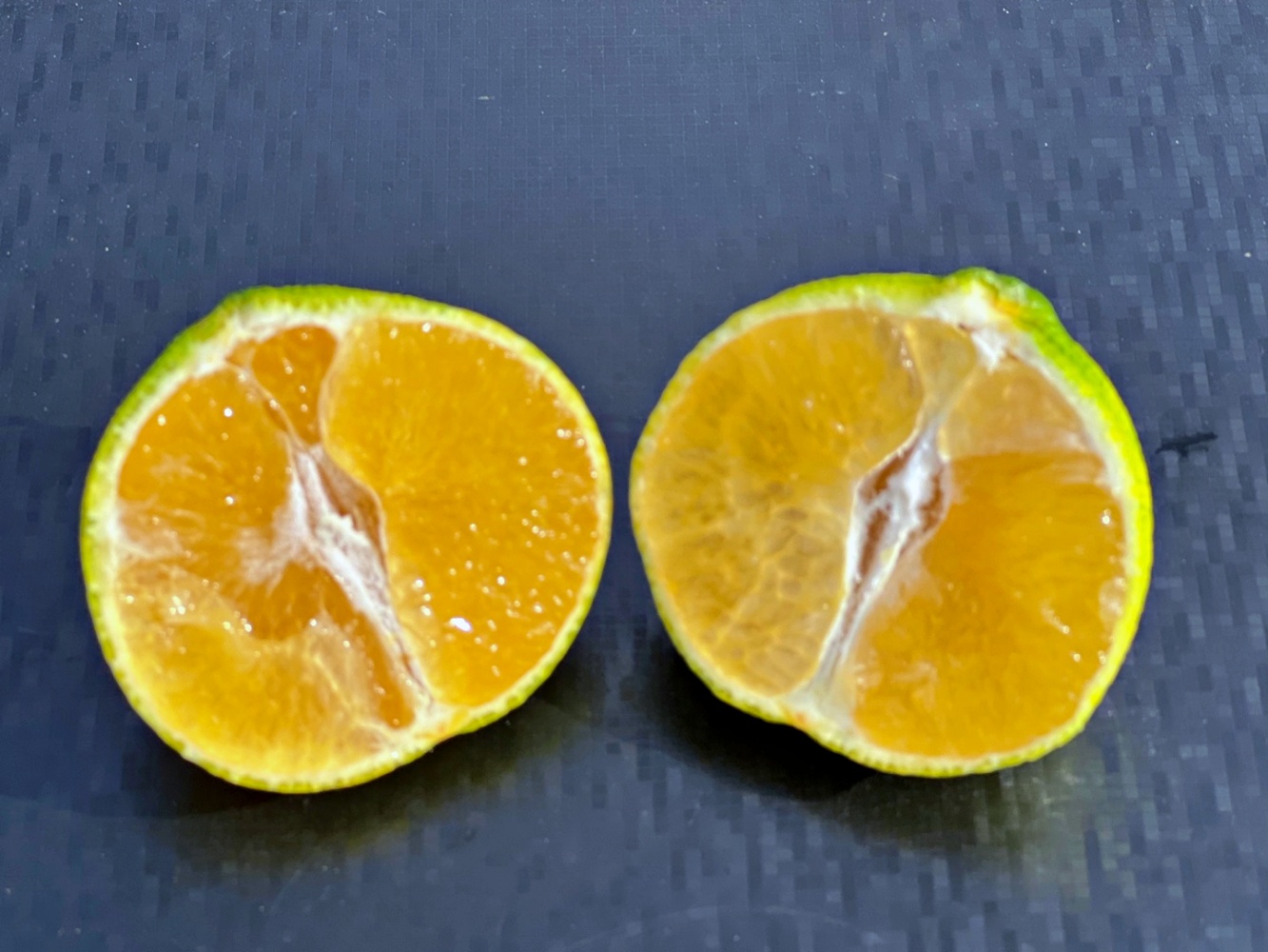 황금향 노지감귤 1kg 2kg 3kg 소과 중과 대과 가정용 선물용 제주 산지직송 - 상세 이미지 5