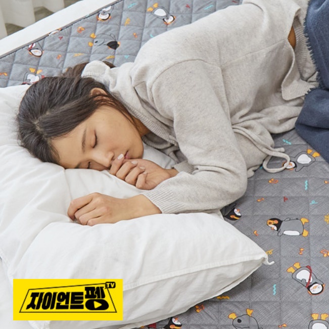 휴대용 전기장판 캠핑 전기요 더블 여행용 전기요 침대용전기요 제품 이미지