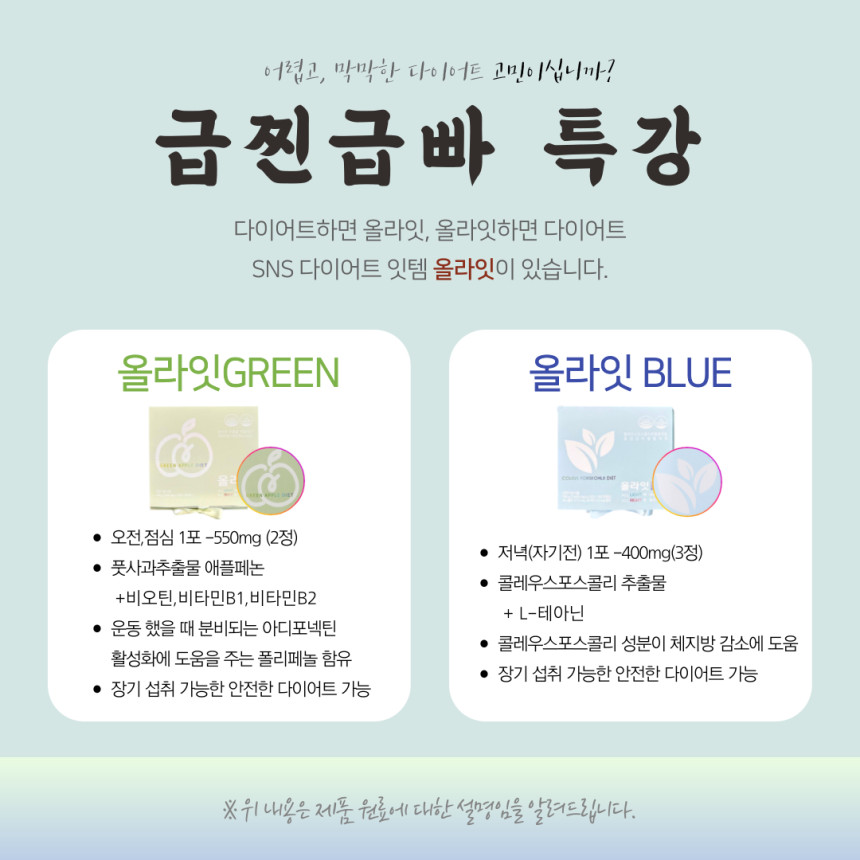 마켓송지 이미지