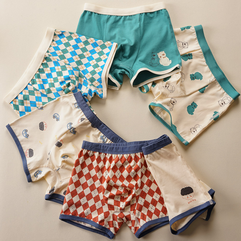 [빌도르] 체크베어 6매 남아 드로즈 사각 아동 키즈 어린이 팬티