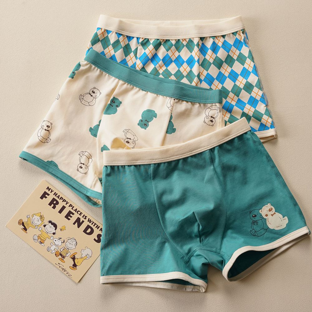 [빌도르] 체크베어 6매 남아 드로즈 사각 아동 키즈 어린이 팬티