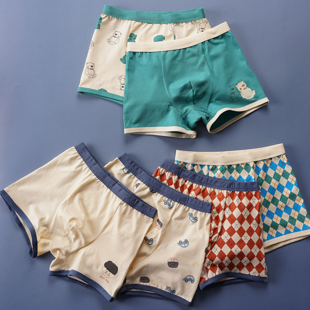 [빌도르] 체크베어 6매 남아 드로즈 사각 아동 키즈 어린이 팬티