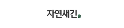 1+1 브로멜라인 퀘르세틴 파인애플 파파인 아이 노스릴리브 소포레틴 60정, 2개