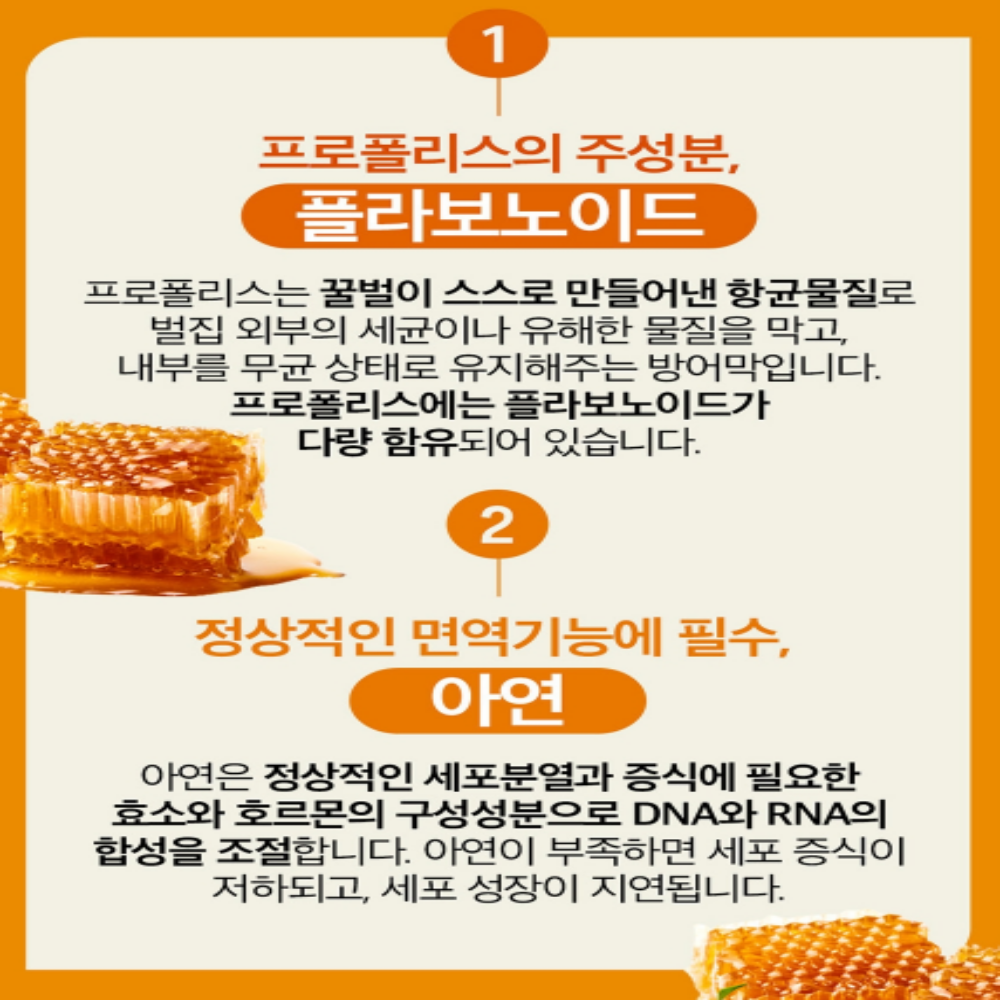 내츄럴플러스 알약프로폴리스 그린프로폴리스 플라보노이드 이미지 7